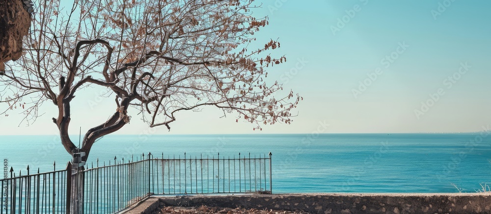Poster tree's bare branches tower beside a metal fence, overlooking a tranquil sea under a clear sky on a s