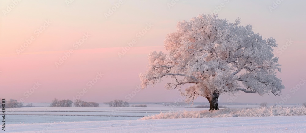 Poster winter landscape featuring a stunning tree captured during a snowy late evening with a serene ambian