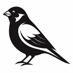 Sparrow silhouette vector icon illustration with a white background.