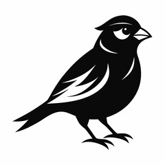 Sparrow silhouette vector icon illustration with a white background.