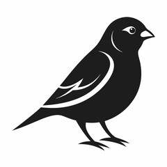 Sparrow silhouette vector icon illustration with a white background.