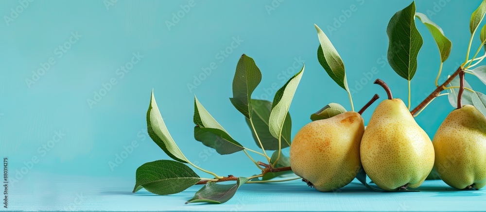 Poster Fresh pears and leaves set against a blue backdrop provide a vibrant composition with an inviting copy space image.
