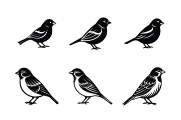set of bird sparrow Black Silhouette Bundle - Stunning Vector Illustrations for Wild or domestic animals Nature Lovers, isolated on white