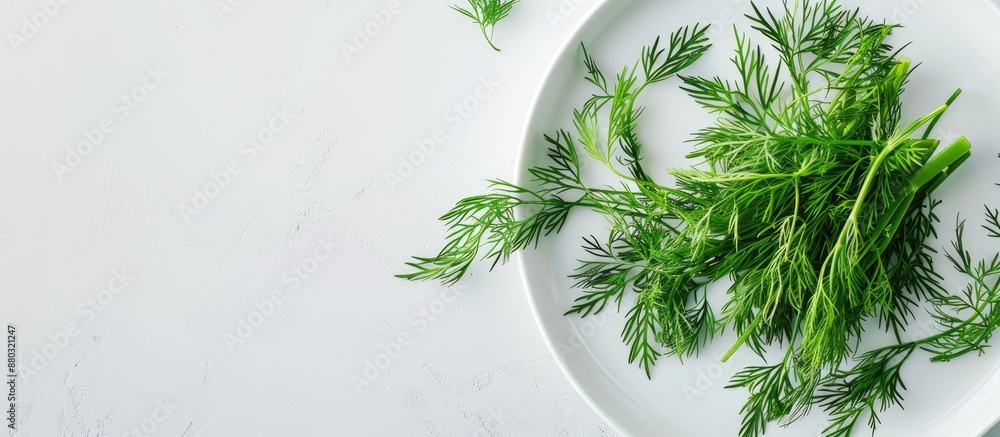 Aufkleber plate with a bunch of fresh dill leaves, ideal for background with copy space image.