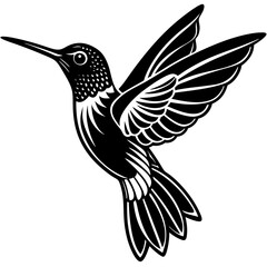 simple elegant hummingbird hovering Vector Design and illustration