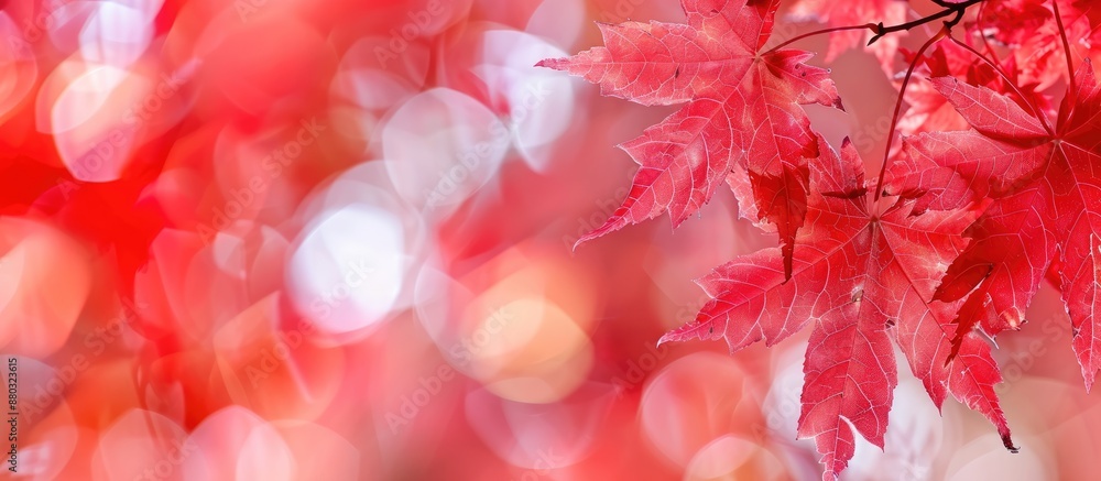 Poster selective focus on red maple leaves with a blurred background, perfect as a copy space image.