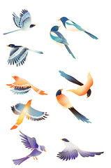 set of birds