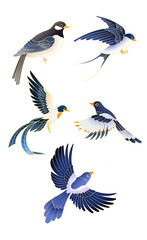 set of birds