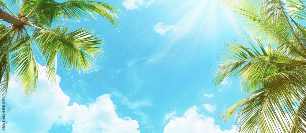 Poster a summery travel background featuring palm trees against a blue sky with copy space image