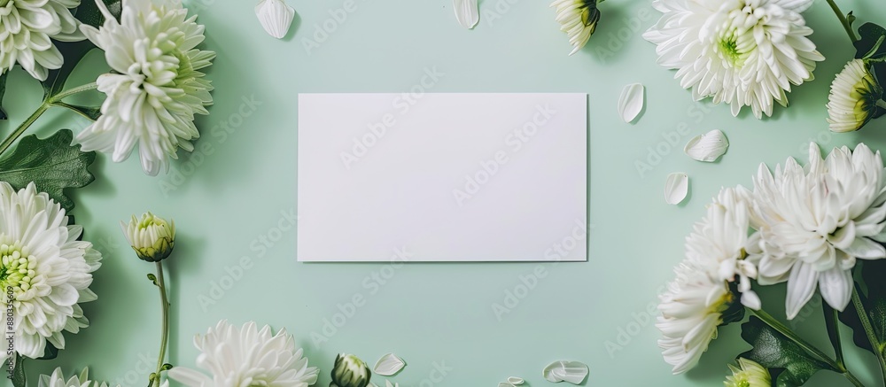 Fototapete chrysanthemums and a blank card on a light green background for a flat lay composition with copy spa