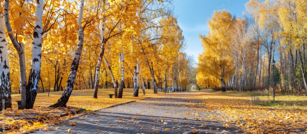 Canvas Prints clear day in the autumn park with fallen bright yellow leaves on the path providing copy space image