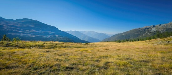Fototapeta premium Scenic mountain landscape with clear blue sky in summertime captured in a photograph with room for text or other imagery a copy space image
