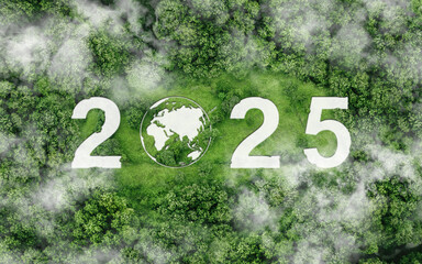 2025 New Year concept for Sustainable environment development goals on Top view nature. SDGs, ESG,...