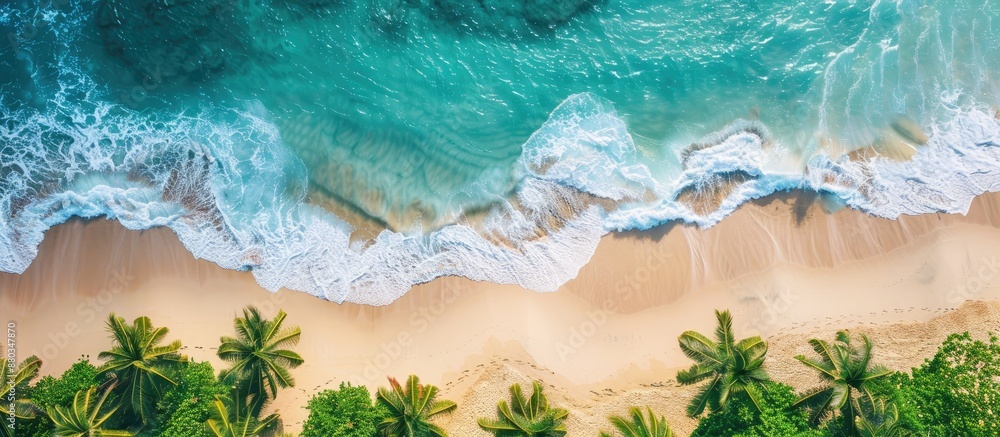Poster sunny tropical beach scene with a gentle sea wave rolling on the sand and plenty of copy space for a