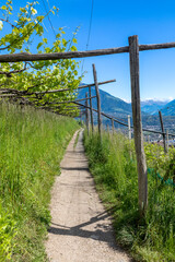 Auf dem Marlinger Waalweg über Meran, Südtirol