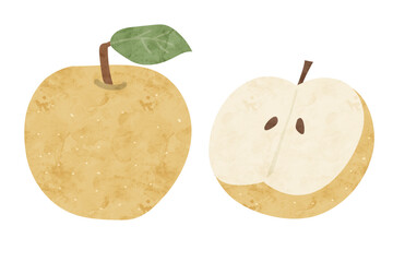 梨の水彩風ベクターイラスト