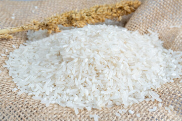 a pile of rice on a gunny sack with a stalk of rice plant on background