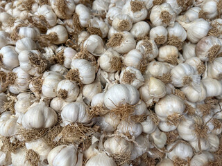 closeup background of garlic on market