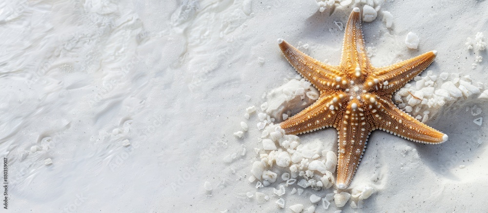 Poster a starfish rests elegantly on the white sandy beach with room for text or other elements in the imag