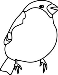 Bullfinch, a species of sparrow, drawn with black lines