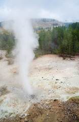 Mud Geysers, Mud Volcano Group, Yellowstone National Park, Wyoming