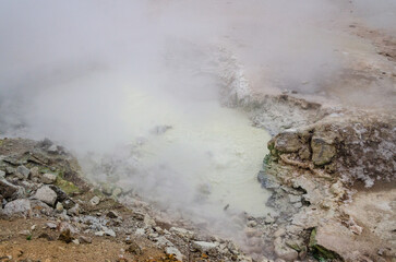 Mud Geysers, Mud Volcano Group, Yellowstone National Park, Wyoming