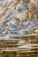 Palette Springs. Devils thumb at the Mammoth Hot Springs. Yellowstone National Park. Wyoming. USA
