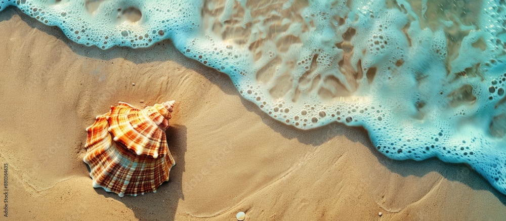 Poster a seashell resting on sandy beach creating a top view banner with a spacious area for additional ima