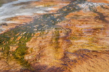 Dryad Spring, Mammoth Hot Springs, Yellowstone Hotspot Volcano, Wyoming, USA