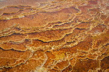 Dryad Spring, Mammoth Hot Springs, Yellowstone Hotspot Volcano, Wyoming, USA