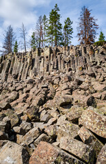 Fototapeta premium Sheepeater Cliffs at Yellowstone National Park