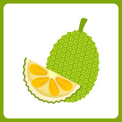 jackfruit healthy. food fruit icon concept isolated . flat cartoon style