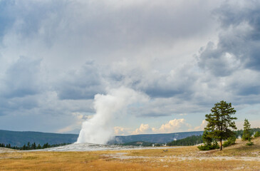 Old Faithful Geyser at Yellowstone National Park in Wyoming