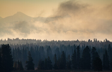 Hayden Valley at Misty Morning at Yellowstone National Park