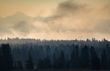 Printed kitchen splashbacks Hayden Valley at Misty Morning at Yellowstone National Park