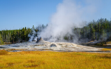 Giant Geyser at Yellowstone National Park