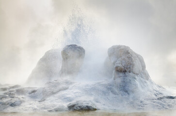 Grotto Geyser at Yellowstone National Park
