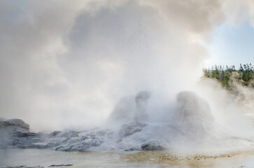 Grotto Geyser at Yellowstone National Park