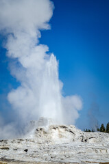 Castle Geyser erupting, Upper Geyser Basin, Yellowstone National Park, Wyoming, Montana