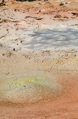 Fountain Paint Pots At Fountain Paint Pot Trail In Yellowstone National Park, Wyoming, USA