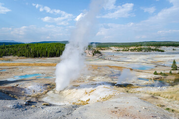 Black Growler Steam Vent at Porcelain Basin, Norrise Geyser Basin, Yellowstone National Park