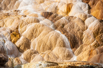 Palette Springs. Devils thumb at the Mammoth Hot Springs. Yellowstone National Park. Wyoming. USA