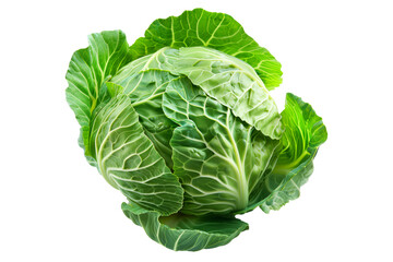 Fototapeta premium Fresh green cabbage head with crumpled leaves isolated on a white background.
