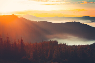 A panoramic view of a mountain range bathed in the golden light of sunrise. The peaks are shrouded in a thick layer of fog, creating a dramatic and ethereal landscape.