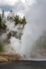 Riverside Geyser at Yellowstone National Park
