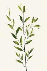 Fototapeta premium An illustration of a plant with white background