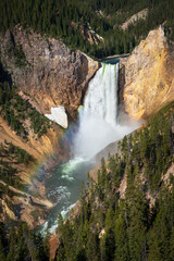 Lookout Point at the Grand Canyon of the Yellowstone and Lower Falls from Artist Point, Yellowstone National Park, Wyoming