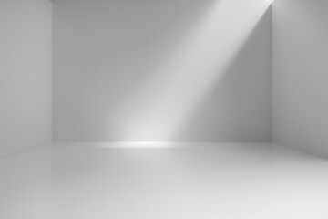 Abstract empty white and gray gradient soft light background of studio room for art work design.