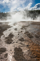 West Thumb Geyser Basin at Yellowstone National Park