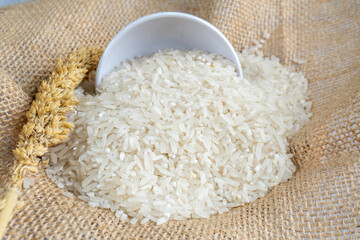 pile of rice on gunny sack with mini bowl and stalk of rice plant